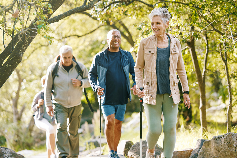 Four older adults hiking outdoors on a sunny day, smiling and using walking poles as they walk along a path surrounded by trees and greenery.