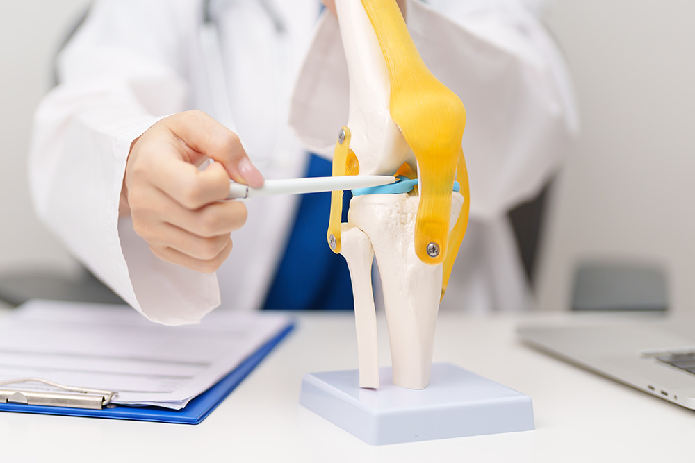 A doctor in a white coat points with a pen at a plastic model of a human knee joint, explaining its structure. A clipboard and a laptop are visible on the desk nearby.