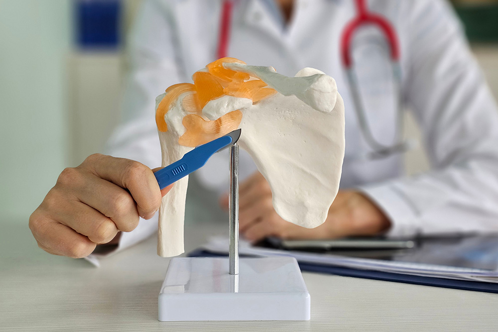 A doctor in a white coat points at a model of a human shoulder joint with a blue tool, illustrating anatomy. A red stethoscope is around the doctors neck, and a clipboard is in the background.