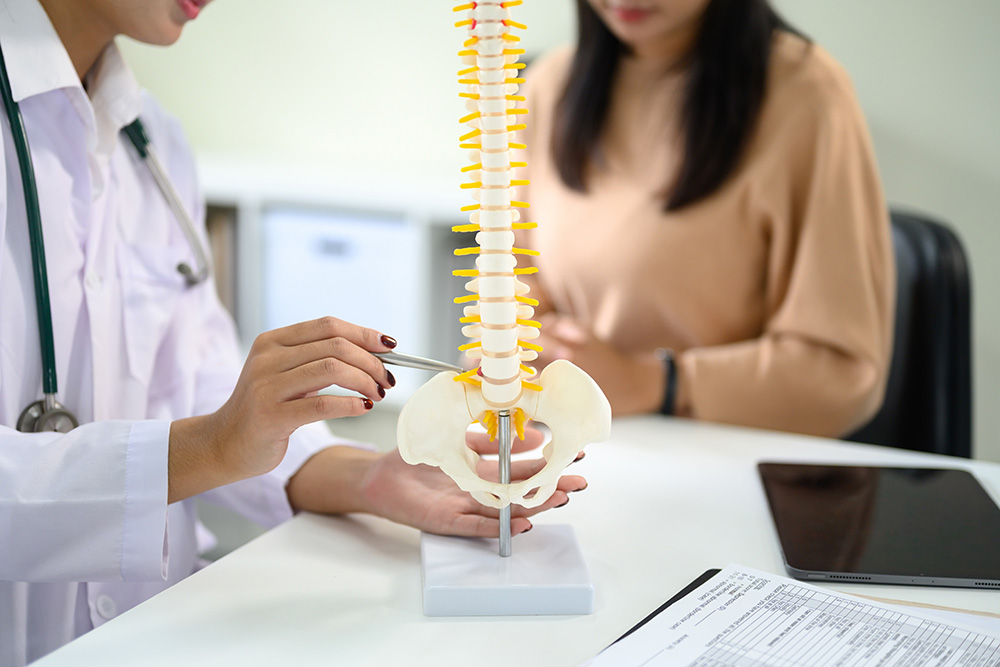 A doctor explains a human spine model to a patient in an office. The doctor points to the model, while the patient listens. Medical documents and a tablet lie on the desk.