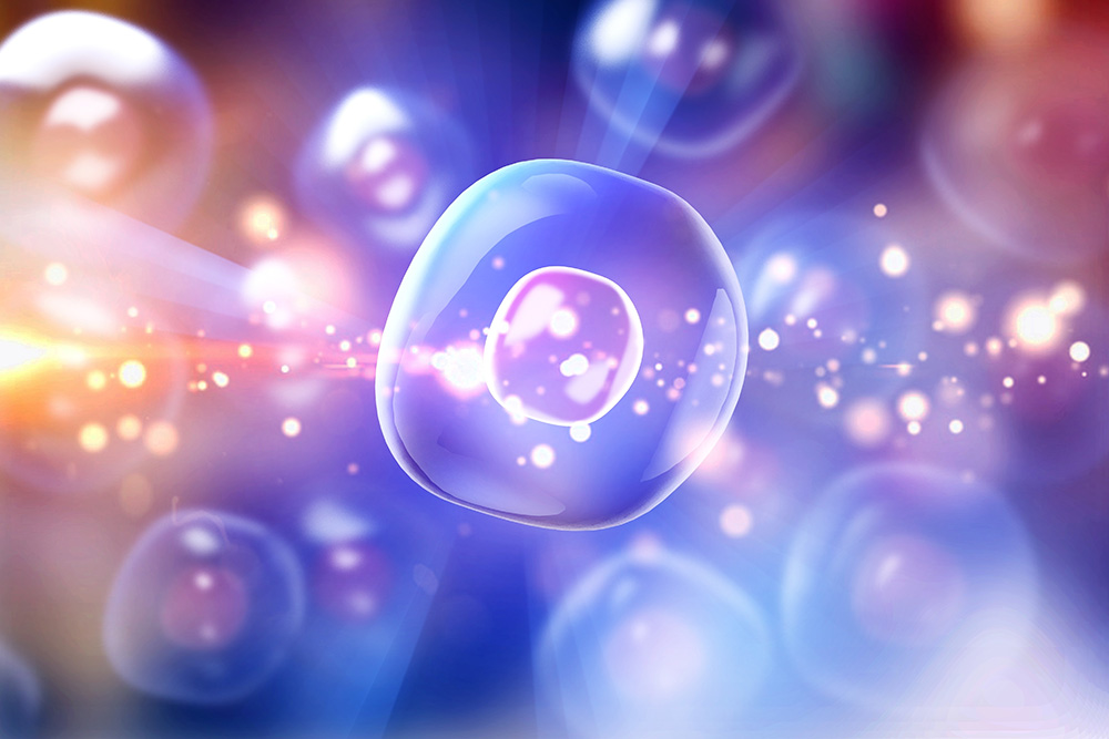 A digital illustration of a single translucent cell with a glowing nucleus, surrounded by other blurred cells and light particles against a colorful, abstract background.